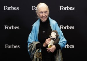Primatologist and conservationist Jane Goodall dead at 91