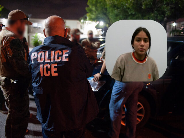 DHS Fires Back After Democrats Accuse ICE of Lying in Viral Arrest Video: 'Smears Fuel Vio