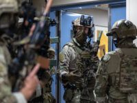 British ‘Home Defence’ Seriously Lacking, Undermining NATO Contribution Credibility Fin