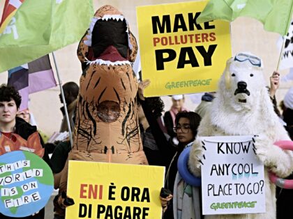 ROME, ITALY - NOVEMBER 15:Environmental activists from Greenpeace, wearing animal masks an