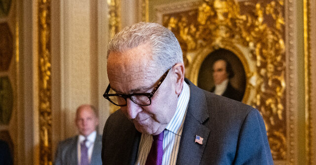 Dem Calls Party Leaders 'Porch Puppies' for Caving to Republicans