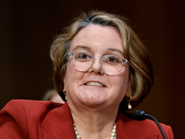 Gail Slater Abigail Slater, US assistant attorney general nominee for US President Donald Trump, durin