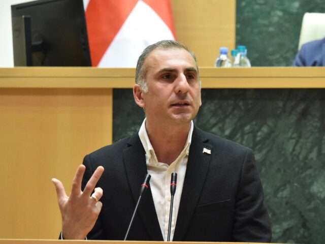 Georgian lawmaker Aleko Elisashvili, who fought against Russia in Ukraine, attends a parli
