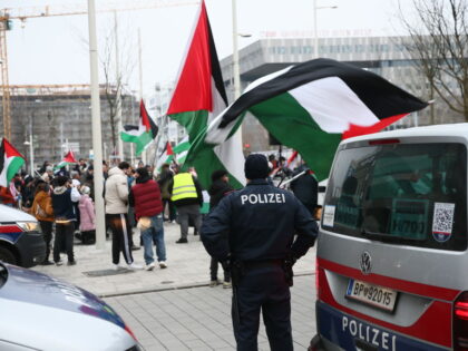VIENNA, AUSTRIA - JANUARY 18: Pro-Palestinians gather at Mariahilfer Strasse to celebrate