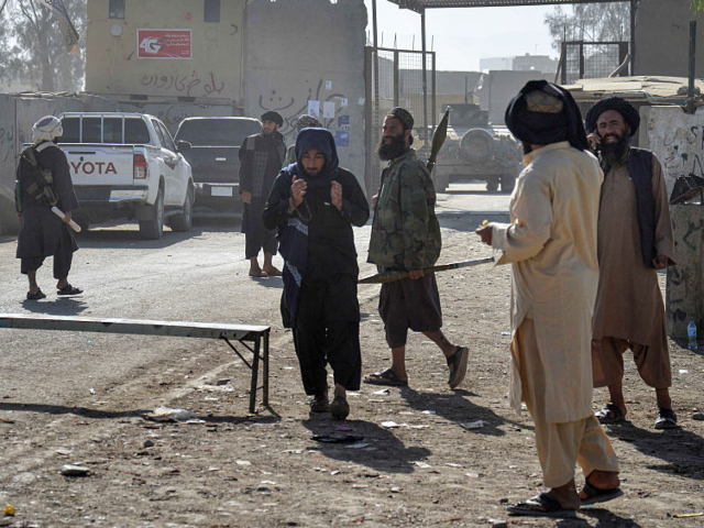 Taliban Minister Arrives in New Delhi Seeking Trade and Investments in India