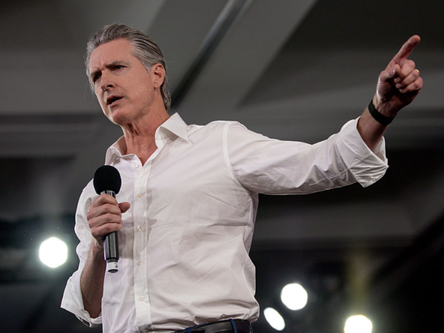 New Hampshire 2028 Primary Poll Shows Democrats Split and in Disarray