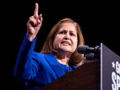 Ghazala Hashmi, Democratic lieutenant governor nominee for Virginia, speaks during an elec