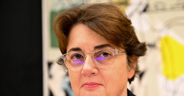 Paris Louvre Museum Installs New Security Cameras After Heist