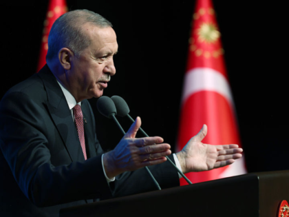 ANKARA, TURKIYE - NOVEMBER 20: (----EDITORIAL USE ONLY - MANDATORY CREDIT - 'TURKISH PRESI