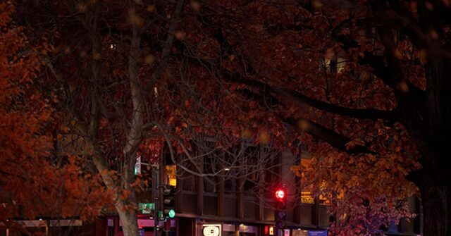 Dem Rep. Garamendi: ‘D.C. Is a Safe City’ ‘Certain Parts’ ‘Are No-Go Places’