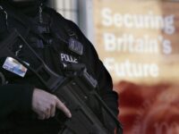 UK1984: British Businessman Arrested over LinkedIn Picture of Himself Holding Gun in Florida