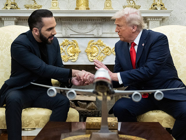 US President Donald Trump shakes hands with El Salvador's President Nayib Bukele during a