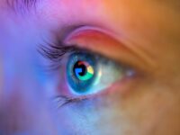 Gmail Explainer: How to Stop Google AI from Snooping Through Your Emails