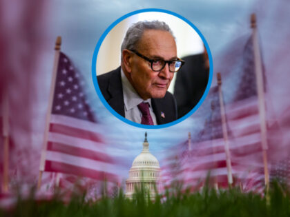 American flags planted to commemorate lung cancer victims fly in the wind along the Nation