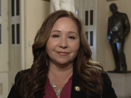 Adelita Grijalva on 11/17/2025 "CNN News Central"