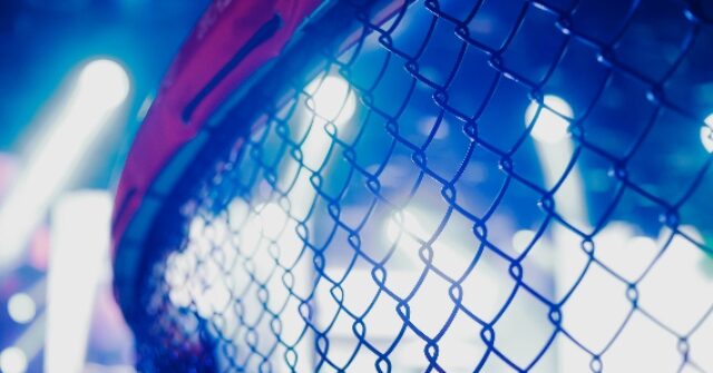 MMA Fighter Dies at 31 After Sustaining Injury During Fight