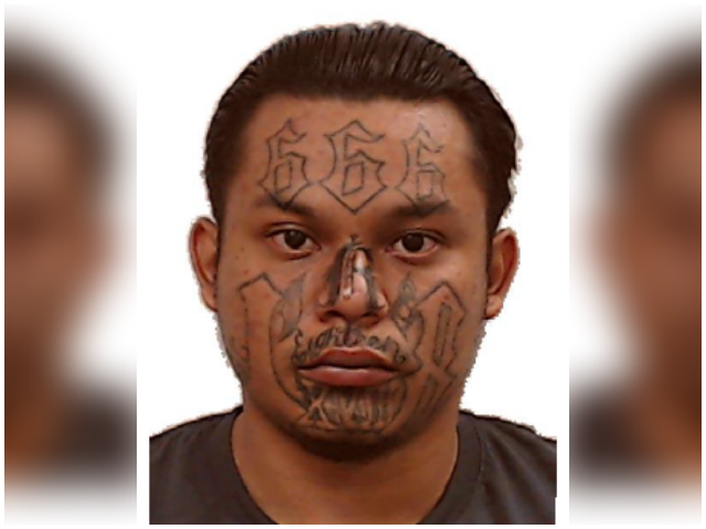 Immigration and Customs Enforcement