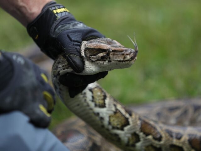 Joe Raedle_Getty Images