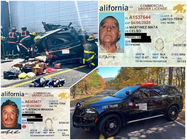 Nationwide Raids Nab 250 Foreign CDL Truck Drivers — DHS Warns Cartel Exploitation Threatens Home