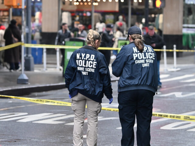 NYPD crime scene Times Square Members of the NYPD Crime Scene Unit investigate the scene and canvass the area while look