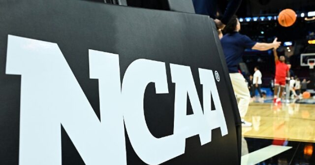 
                            NCAA: Six Men's Basketball Players Rigged Games, Provided Info to Gamblers