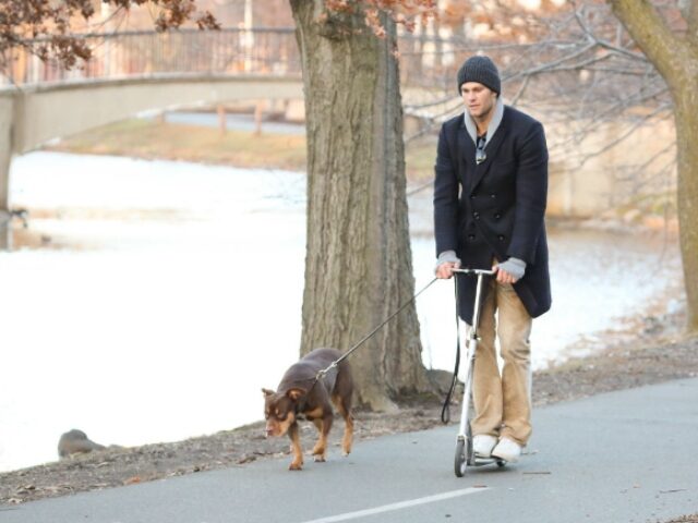 Stickman_Bauer-Griffin_GC Images