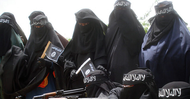 Exclusive – House Majority Whip Tom Emmer Calls for Investigation into Millions of Minnesota Taxpayer Funds Ending Up in Al-Shabaab Hands