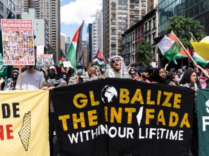 anti-Israel protesters march in America