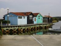 ‘Allahu Akhbar’: Suspect Arrested After ‘Deliberately’ Running Down Pedestr