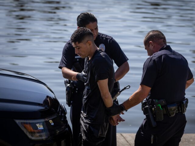 A suspect wanted by the Los Angeles Police Department swims in MacArthur Park Lake as poli