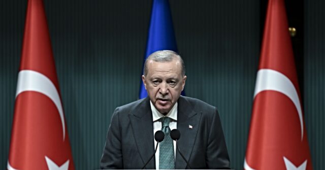 Turkey's Erdogan Seeks Dominant Role in Ending Ukraine War, Elbowing out Trump and the E.U.