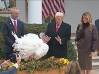 Watch Live: Donald and Melania Trump Pardon Thanksgiving Turkeys
