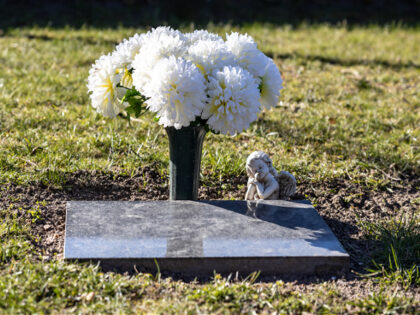 Blank gravestone on the meadow of a cemetary with white flowers