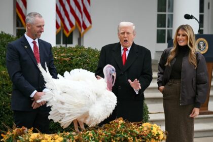 First Lady Melania Trump looks on as US President Donald Trump pardons Gobble, one of the