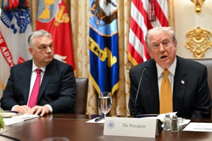US President Donald Trump (R) speaks during a meeting with Hungarian Prime Minister Viktor