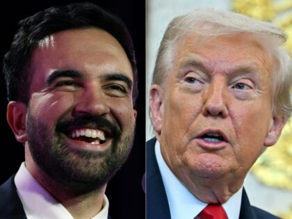 Zohran Mamdani, the 34-year-old leftist mayor elect of New York City, offers a potential n