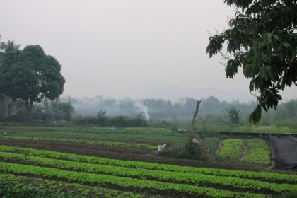 The Associated Press