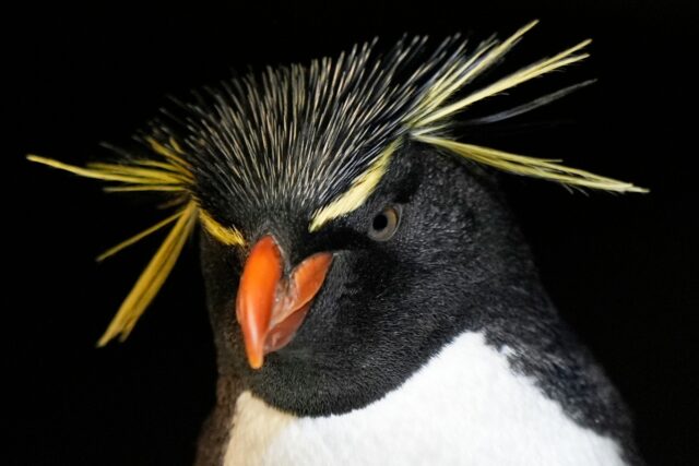 The Associated Press