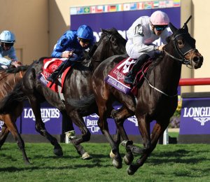 Ethical Diamond upsets in $5 million Turf at Breeders' Cup racing