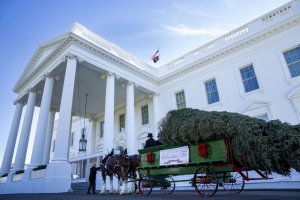 Melania Trump greets White House 2025 Christmas tree