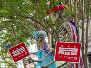 D.C. man on trial for throwing sandwich at Border Patrol officer