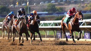 Forever Young wins Breeders' Cup Classic horse race