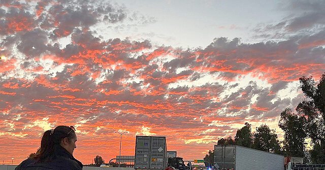 Newsom’s California Exposed: #1 Hub for Illegal CDL Licensing — Safety Crisis Ignites Federal Fury