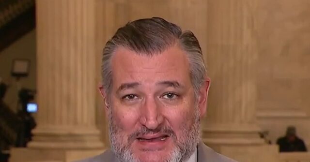 Ted Cruz on Crockett for Senate: Democrats ‘Want Crazy’