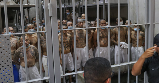 El Salvador Sentences Nearly 250 MS-13 Members to up to 1,335 Years in Prison