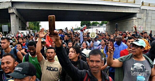 
                            TPUSA Poll: 90% of AmFest Attendees Support Halting All Immigration to U.S.