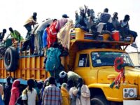 Former ICE Official: Somali Migration to U.S. Marked ‘Greatest Refugee Fraud Crisis in Modern