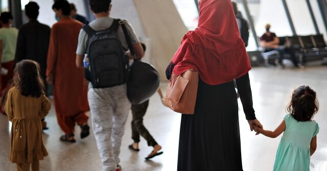 
                            Exclusive: Tom Tiffany Leads Bill Allowing States to Veto Refugee Resettlement