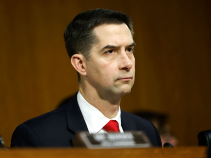 Exclusive: Sen. Tom Cotton Introduces Bills Enforcing Strict Asylum Seeker Standards, Ending In-Sta