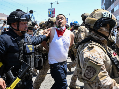 Law enforcement officers, including members of the Immigration and Customs Enforcement (IC